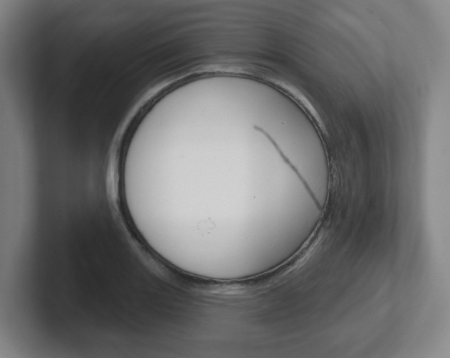 X0000102291131200807250956