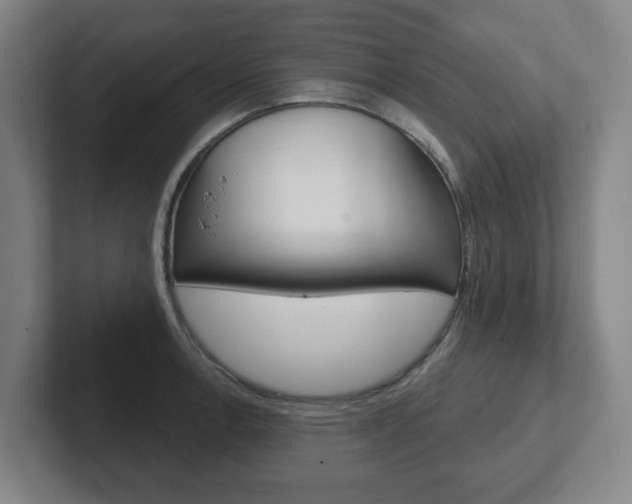 X0000102291138200807250956