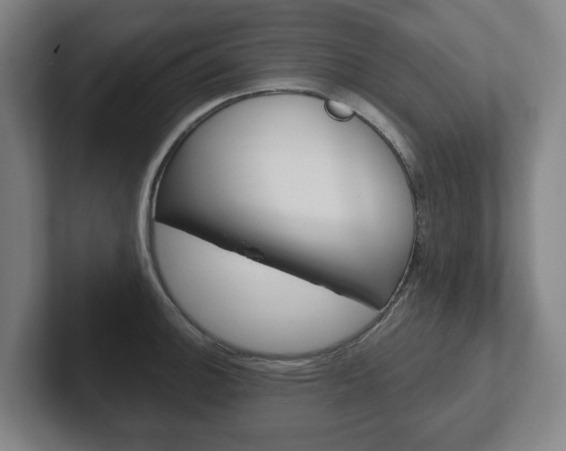 X0000102291140200807250956