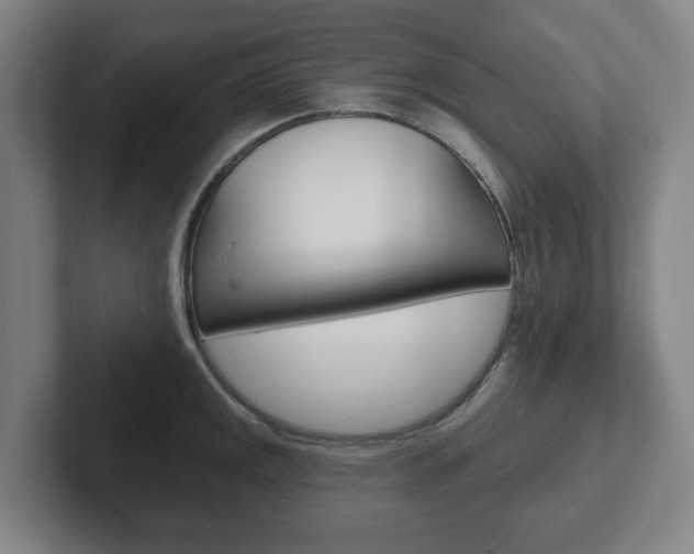 X0000102291141200807250956