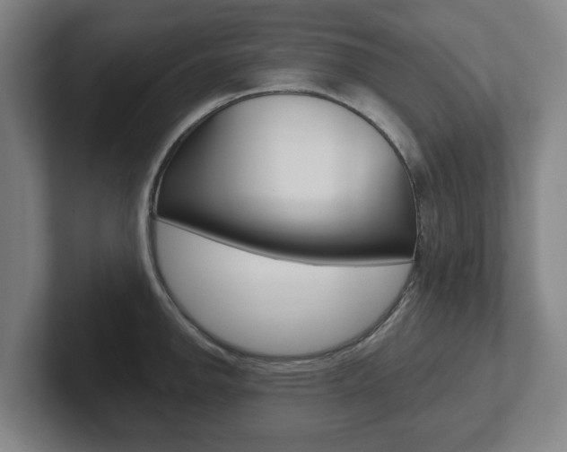 X0000102291142200807250956