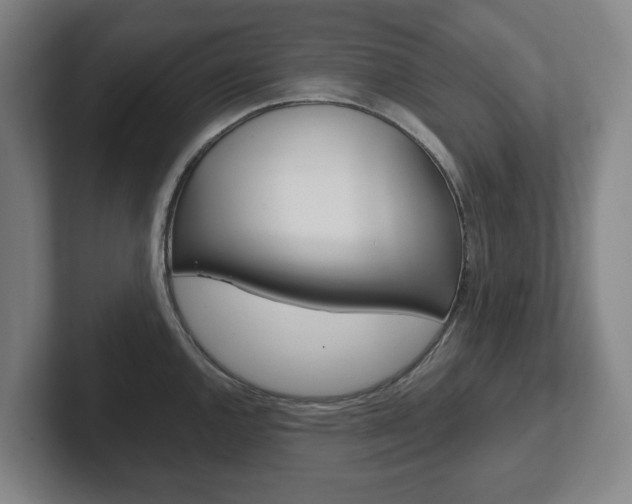 X0000102291144200807250956