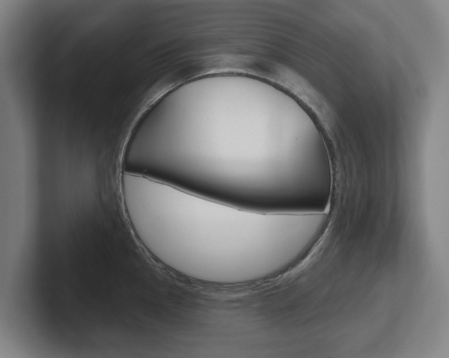 X0000102291145200807250956