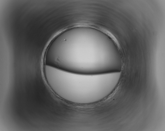 X0000102291146200807250956