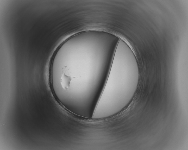 X0000102291147200807250956