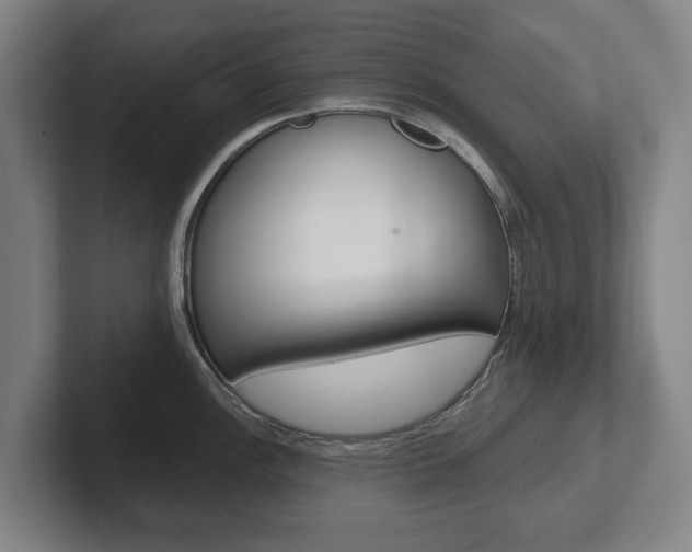 X0000102291148200807250956