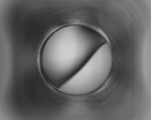 X0000102291149200807250956