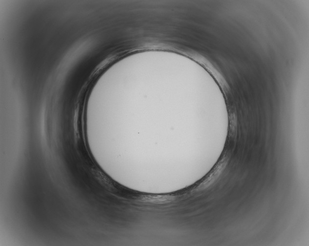 X0000102291150200807250956