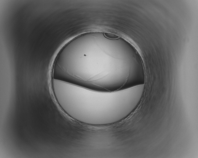X0000102291152200807250956