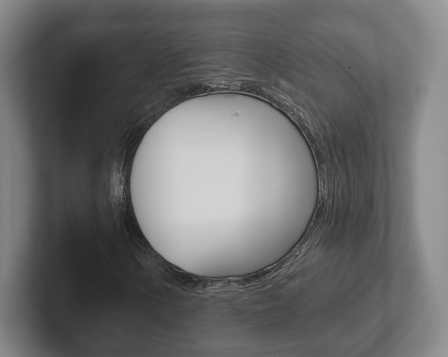 X0000102291154200807250955