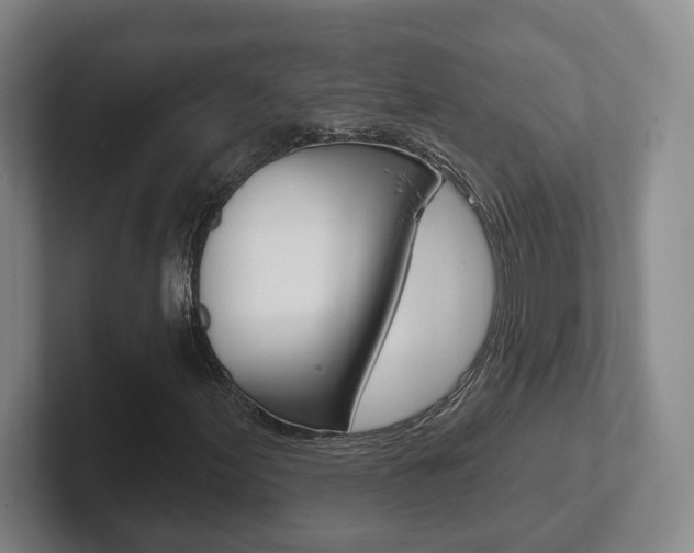 X0000102291155200807250955
