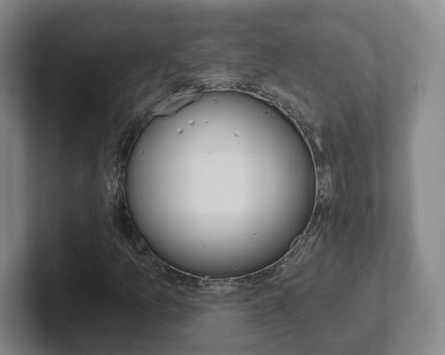 X0000102291157200807250955