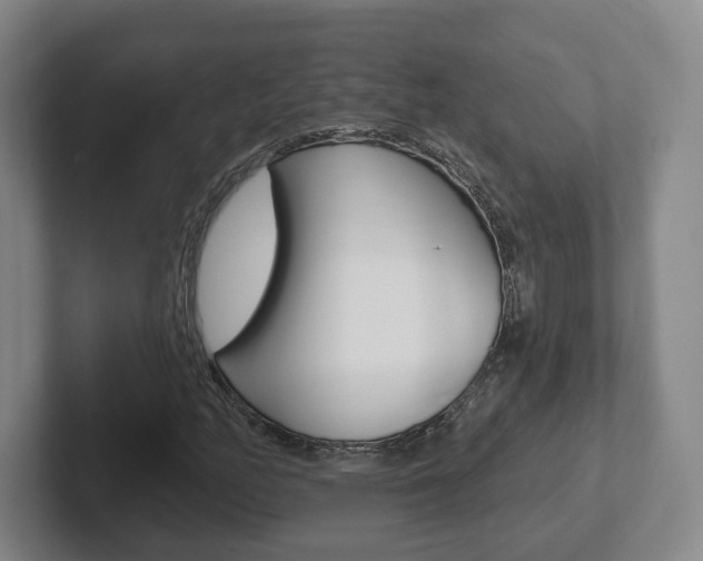 X0000102291158200807250955
