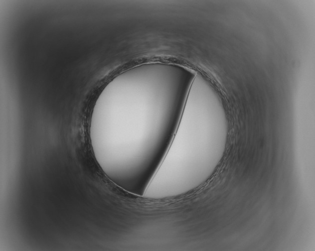 X0000102291159200807250955