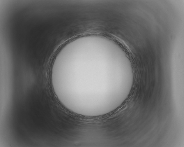 X0000102291160200807250955