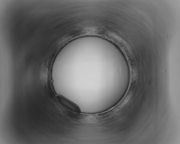 X0000102291161200807250955