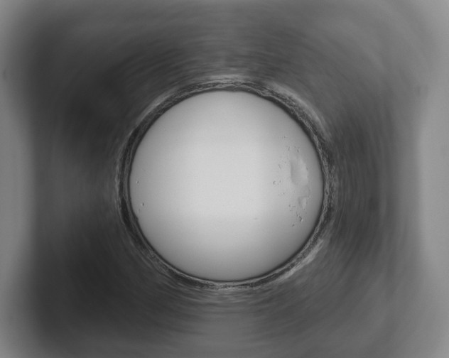 X0000102291162200807250955