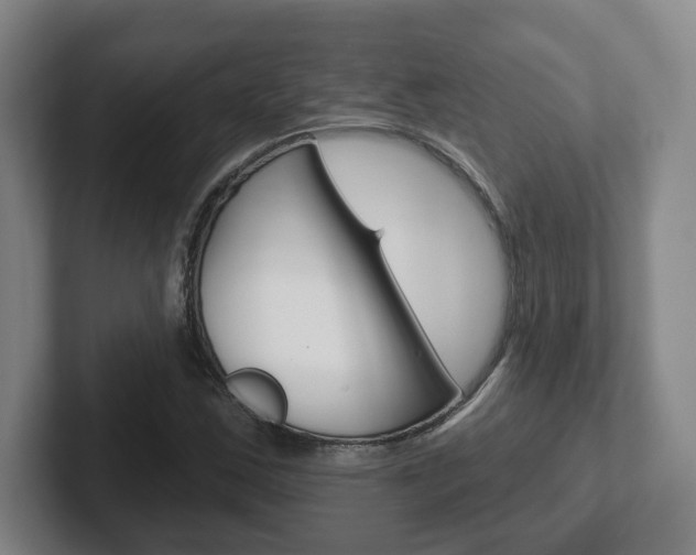 X0000102291163200807250955