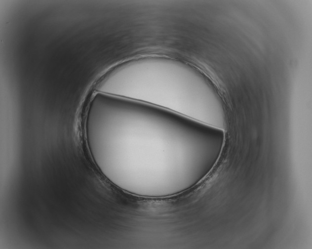 X0000102291164200807250955