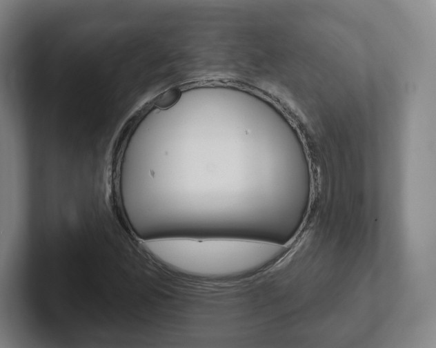 X0000102291165200807250955