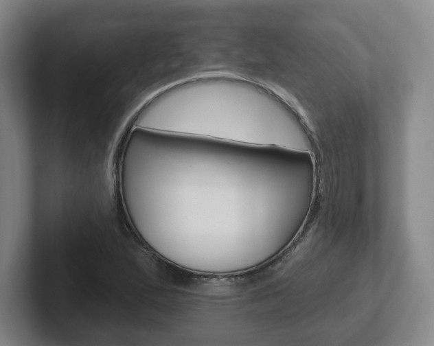 X0000102291167200807250955