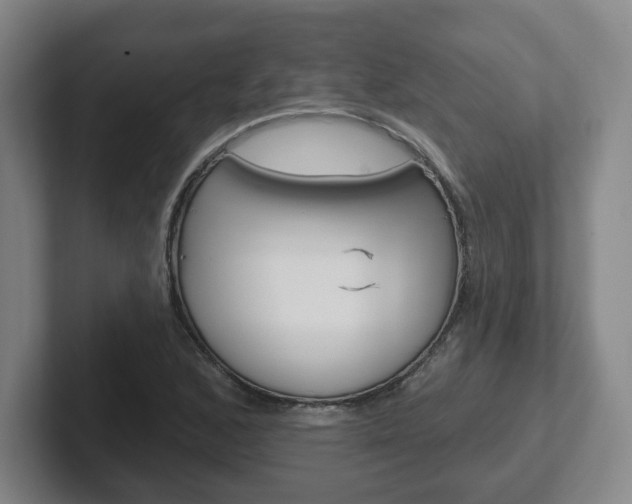 X0000102291168200807250955