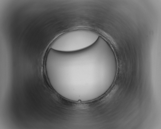 X0000102291170200807250955