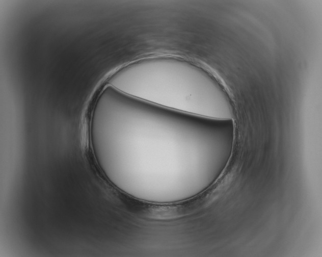 X0000102291171200807250955