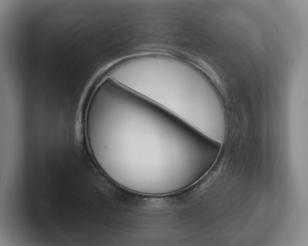 X0000102291172200807250955