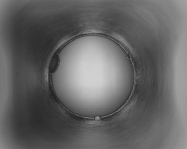 X0000102291173200807250955