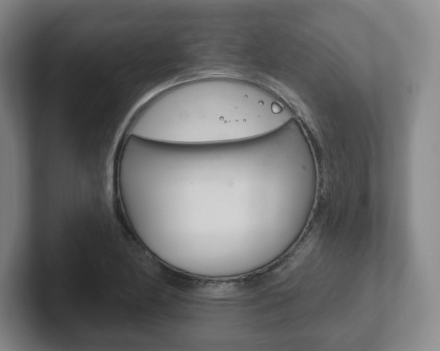 X0000102291174200807250955