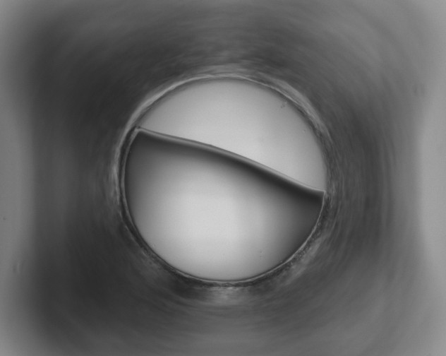 X0000102291176200807250955