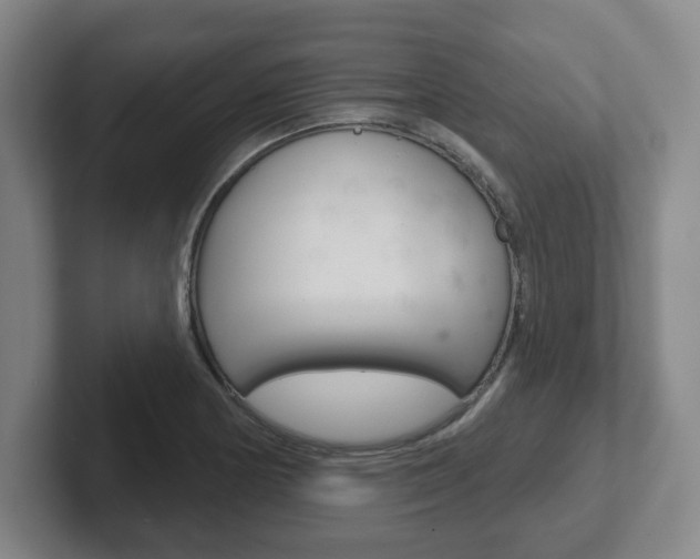 X0000102291178200807250955