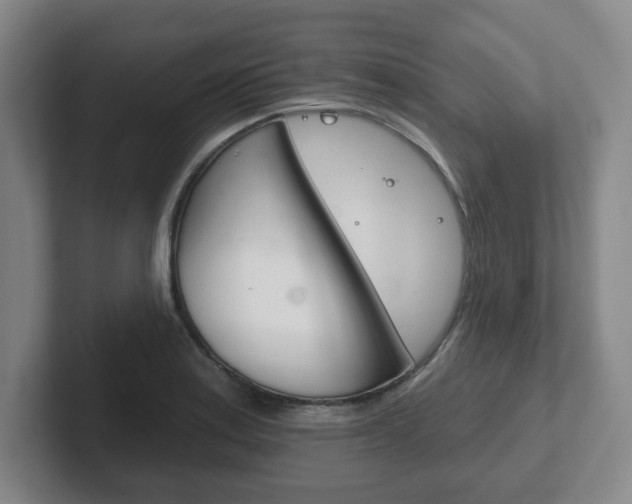 X0000102291179200807250955