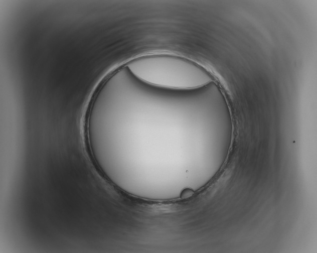 X0000102291181200807250955