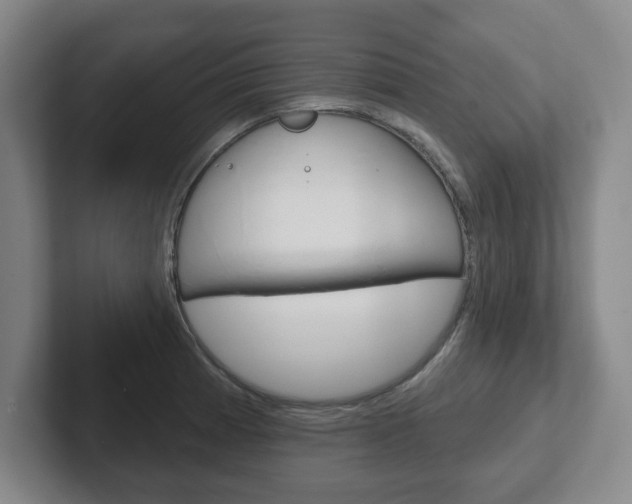 X0000102291185200807250955