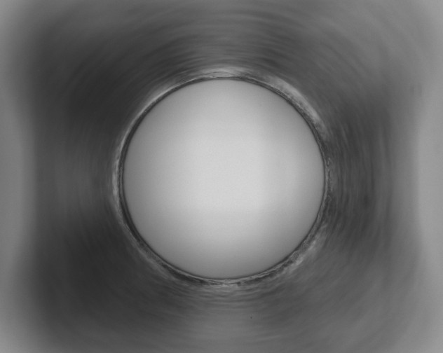 X0000102291186200807250955