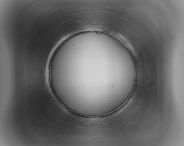 X0000102291188200807250955