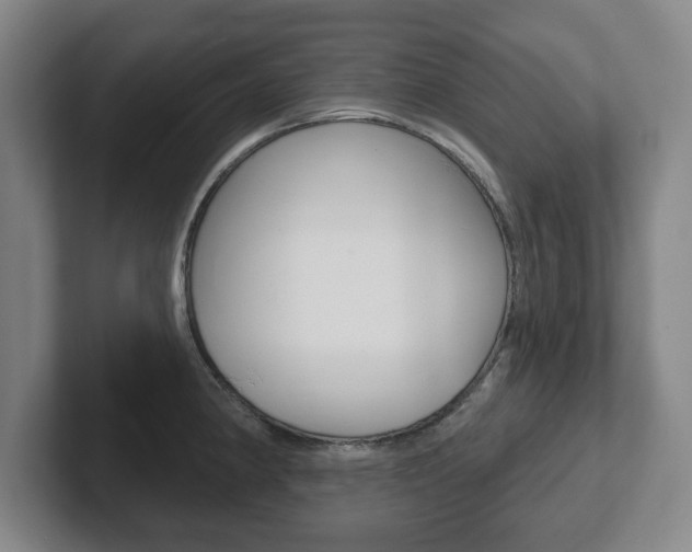 X0000102291190200807250955