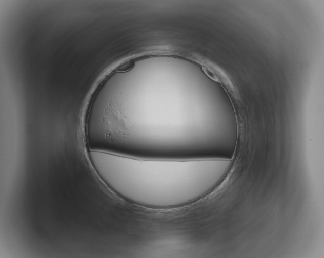 X0000102291192200807250955