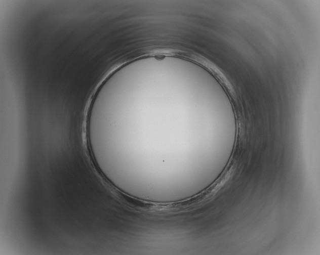 X0000102291194200807250955