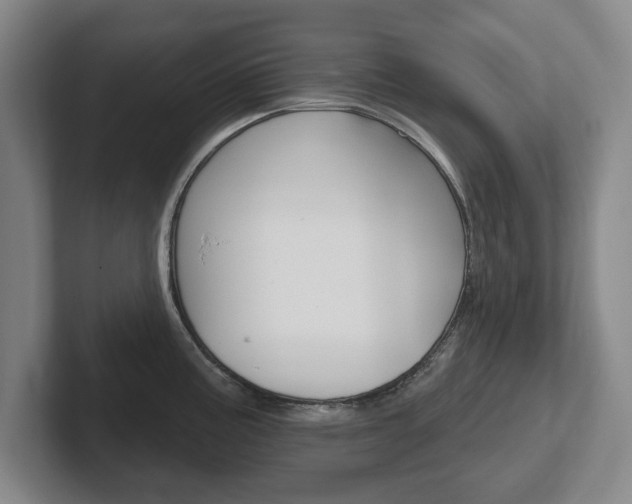 X0000102291195200807250955