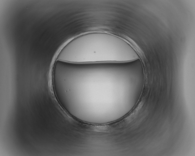 X0000102291196200807250955