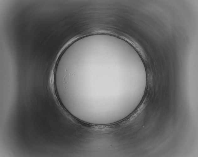 X0000102291198200807250955