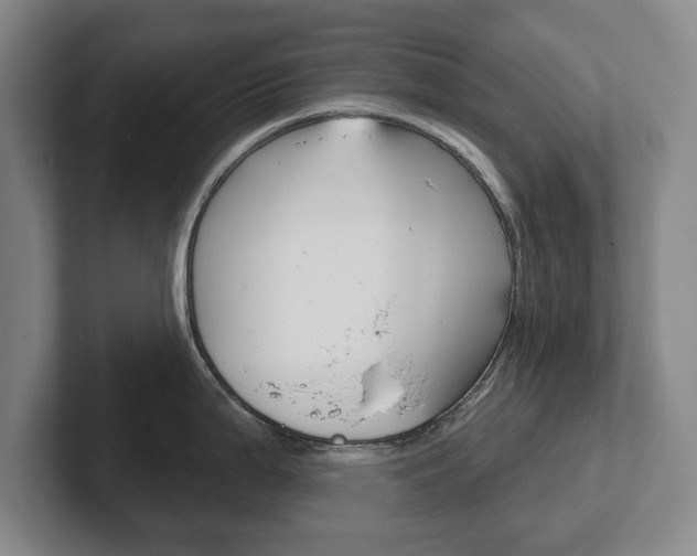 X0000102291199200807250955
