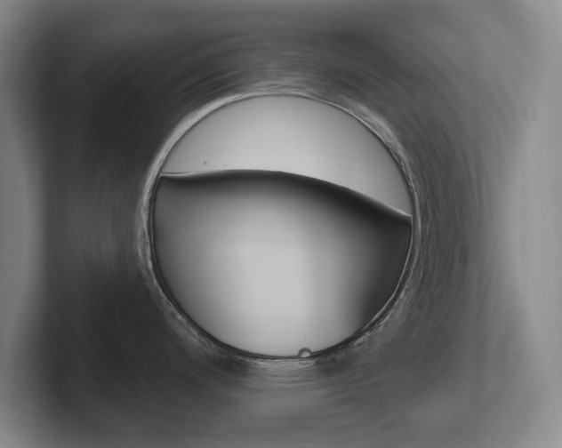 X0000102291200200807250955