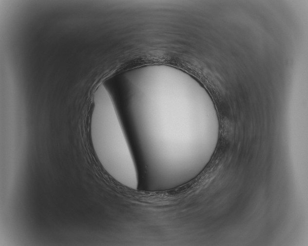X0000102291201200807250954