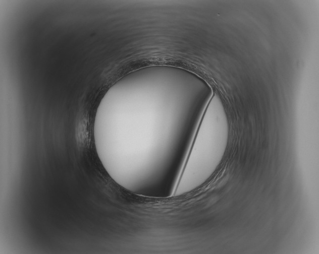 X0000102291202200807250954