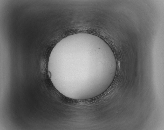X0000102291203200807250954