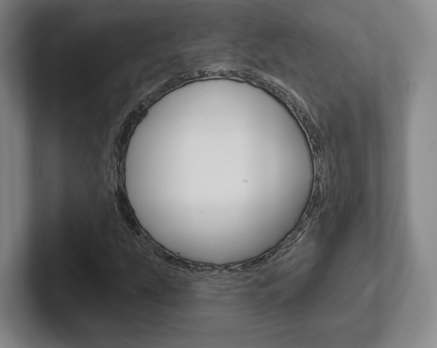 X0000102291207200807250954